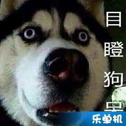 琪琪的吃瓜,揭秘娱乐圈那些不为人知的幕后故事 第2张 琪琪的吃瓜,揭秘娱乐圈那些不为人知的幕后故事 第2张